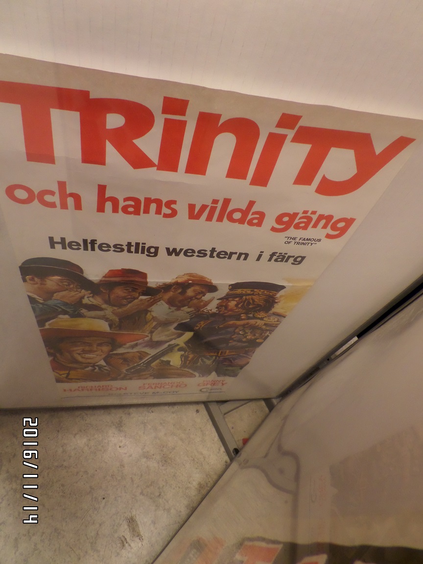 TRINITY OCH HANS VILDA GÄNG